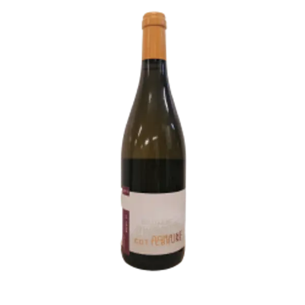 FAUGERES blanc 2019 DOMAINE COTTEBRUNE Cuvée Cairn 75cl